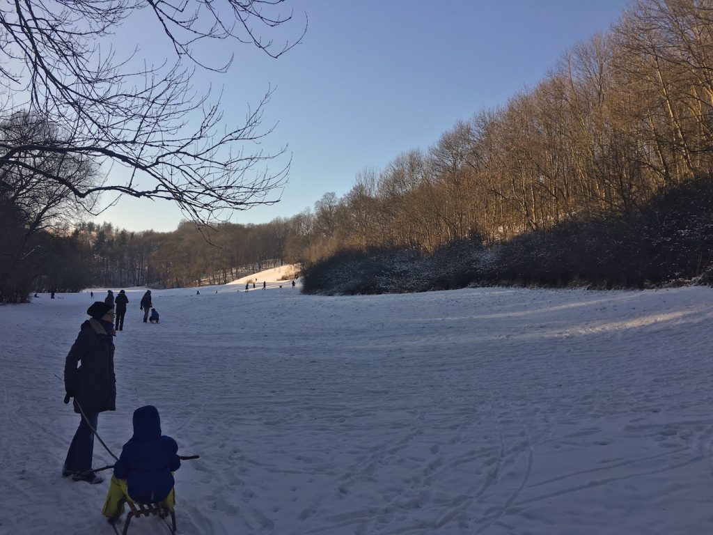 Winterlicher Zschoner Grund